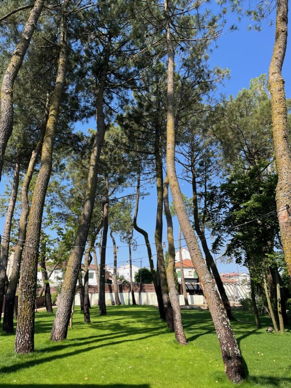 فندق Casa Jardin El Colmenar لاس نافاس ديل ماركيز المظهر الخارجي الصورة