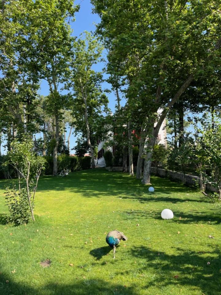 فندق Casa Jardin El Colmenar لاس نافاس ديل ماركيز المظهر الخارجي الصورة